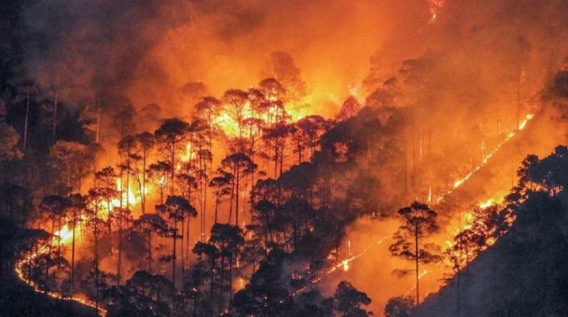 बेकाबू हुई जंगलों में लगी आग, अब रिहायशी इलाकों तक पहुंची लपटें, मची अफरातफरी