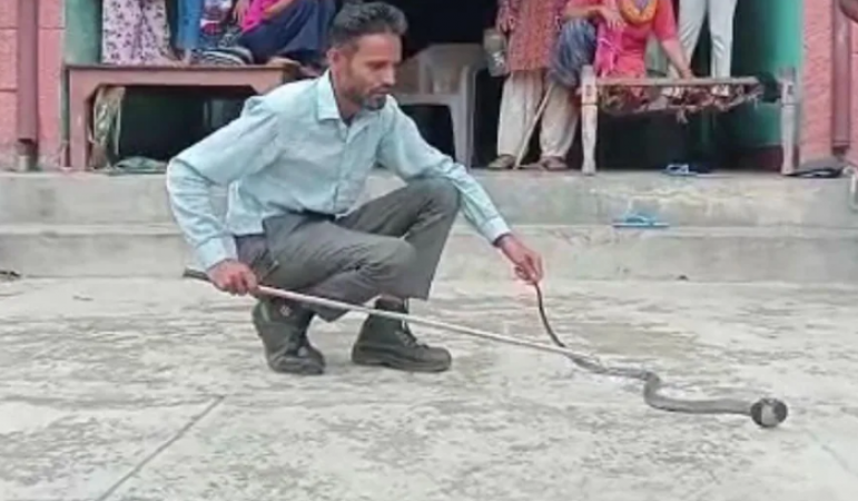 This man used to share video on Youtube while catching snakes, now got this big success