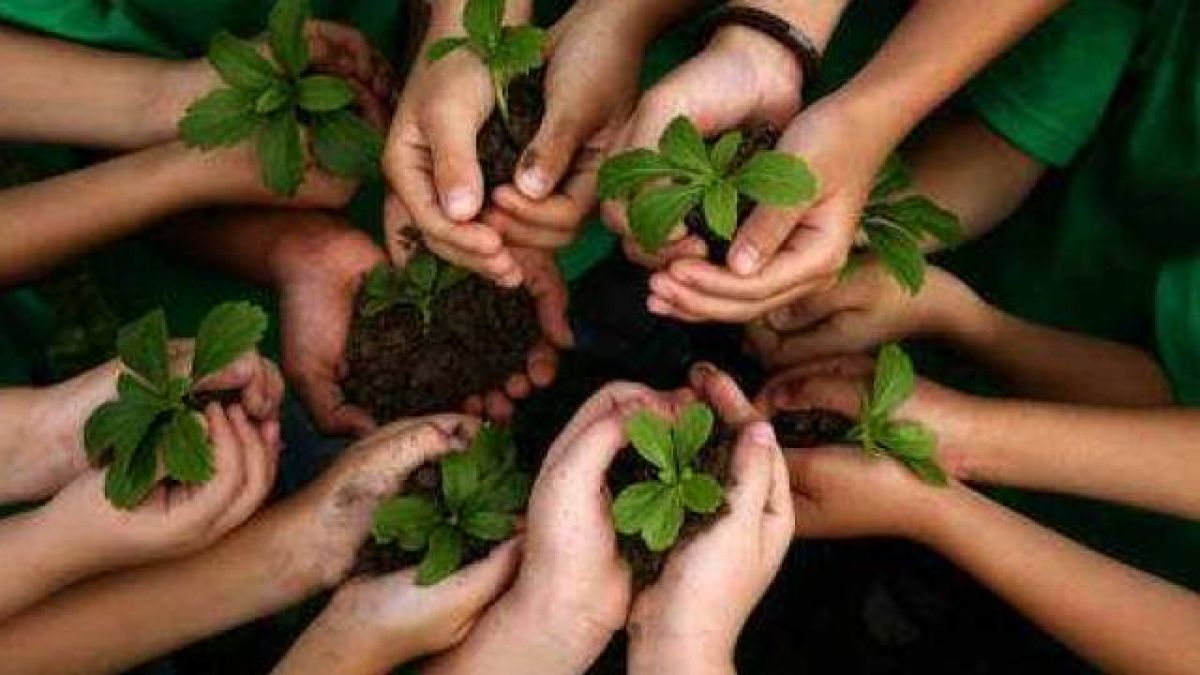 Uttar Pradesh registers new record, these many trees planted in a day