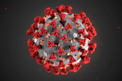 Do not trust the news of any social media platforms regarding coronavirus vaccine: AIIMS Dr Neeraj Nischal