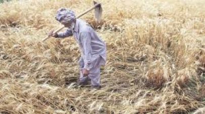 Uttar Pradesh: Debt-ridden farmer puts Kidney on sell