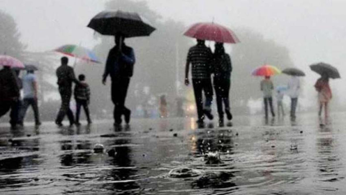 Heavy rain alert  in 20 districts of Madhya Pradesh