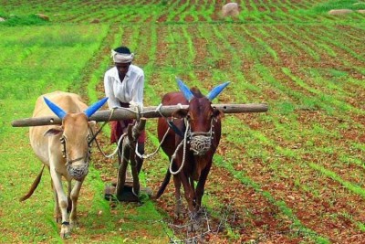 Farmers in this state get prizes worth Rs 5 lakh for doing new tests in farming