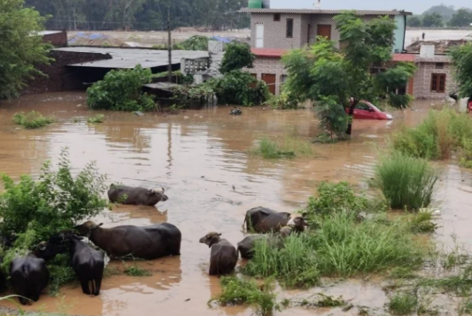जम्मू में बने बाढ़ जैसे हालात, कई क्षेत्रों में फटे बादल