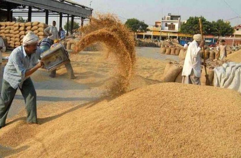 Procurement of paddy in the state to begin from December 15