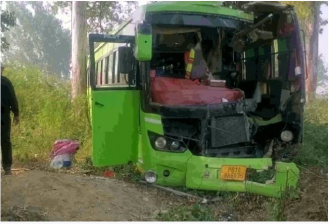 The uncontrolled bus entered the field by breaking the trees, the driver died on the spot.