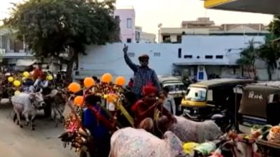 राजस्थान: अनोखी मारवाड़ी बारात को देखने के लिए उमड़ा लोगों का हुजूम, दूल्हे के साथ चला 35 बैल गाड़ियों का काफिला