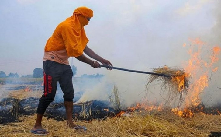 What action taken against farmers in the case of stubble burning? Govt gave information