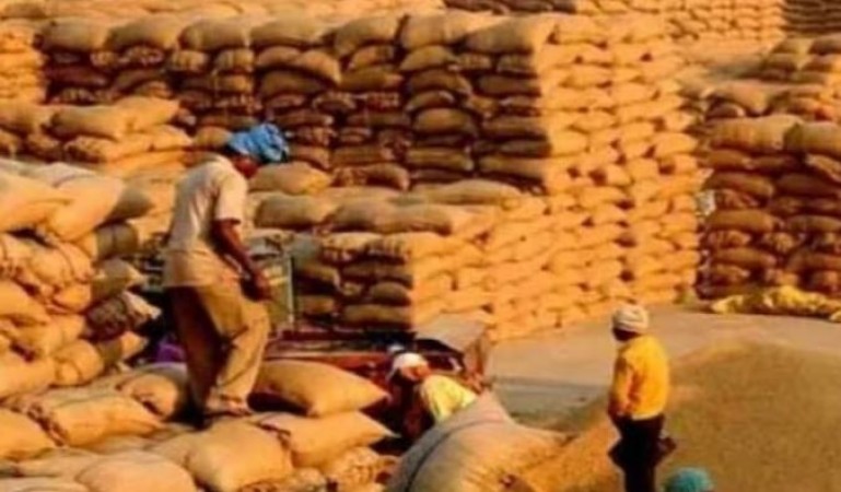 Big scam in grain procurement, 730 quintals less paddy found in investigation