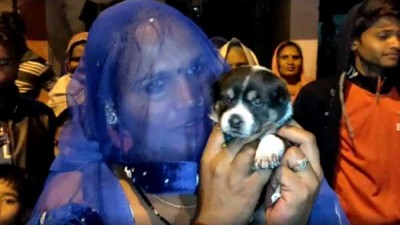 Transgender set an example on dog's birthday by feeding four hundred people