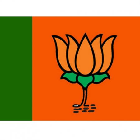 दिल्ली विधानसभा चुनाव 2020: साल 2015 में बीजेपी की जिन सीटों ने बचाई थी इज्जत, जानें  क्या है आज उनका हाल