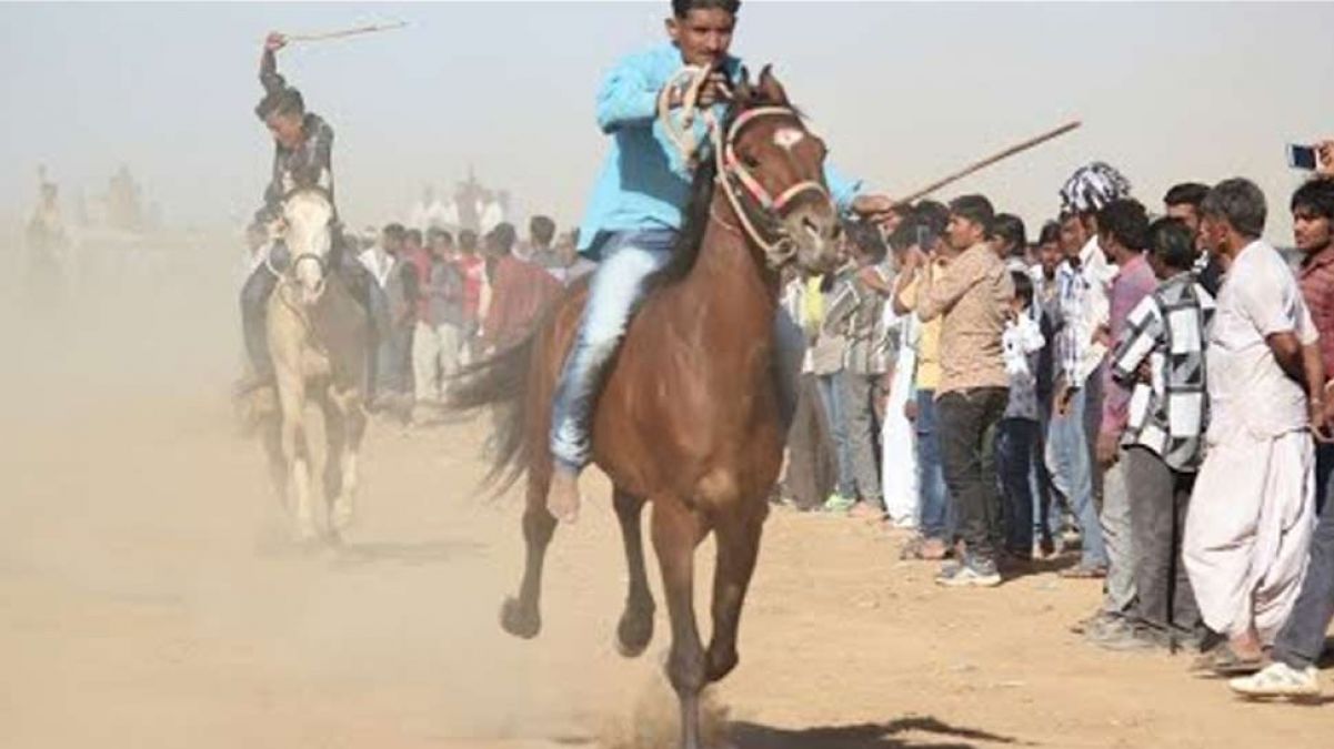 First 'horse racing' competition held in Gujarat after recognition of Kutch Sindhi horse