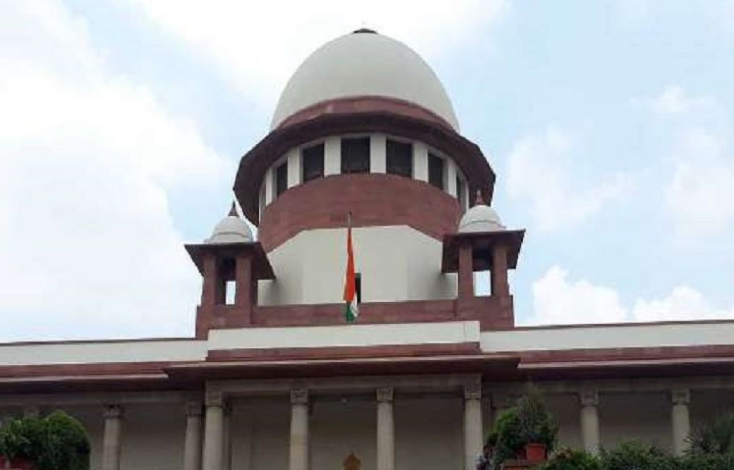 Bengal: Tree cutting case reaches Supreme Court, the court gave this order