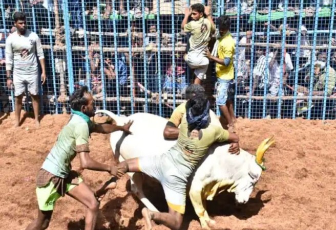 तमिलनाडु में उडी कोरोना नियमों की धज्जियां, जल्लीकट्टू उत्सव में 1 की मौत 80 लोग घायल