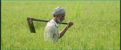 MP breaks record of paddy procurement at MSP