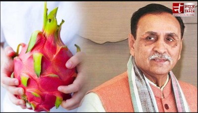 Gujarat govt renames 'dragon fruit' as kamalam, no political agenda in it