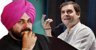 For Rahul Gandhi, Sidhu became the throat bone, will the issue solved in the chief ministers' meeting?