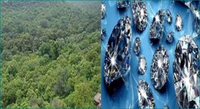 Buxwaha Diamond Mining: 2 Lakh Trees Won't Get Shred Off