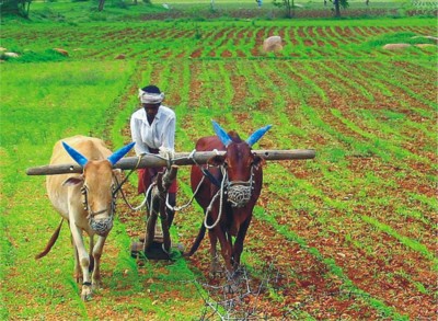 'Adopt new technology, grow lots of food' Agriculture Minister writes to the farmers