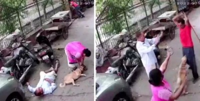 Video: कुत्ते के भौंकने से नाराज हुआ पड़ोसी, पूरे परिवार पर किया डंडे से हमला