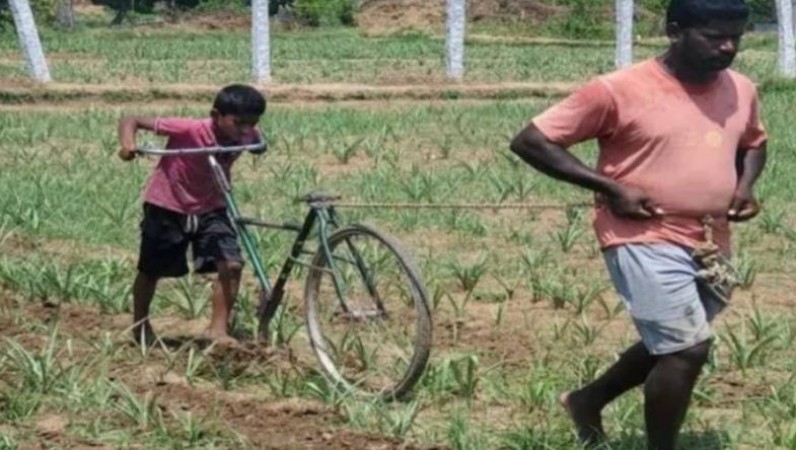 बेटे की साइकिल से खेत जोतने को मजबूर किसान पिता, लॉकडाउन में बर्बाद हो गई थी फसल