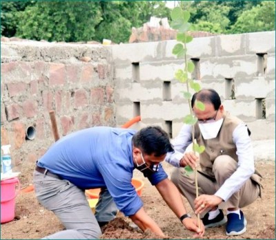 CM शिवराज सिंह चौहान ने लगाया कचनार का पौधा