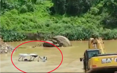 VIDEO: Suddenly the water level of the river increased, the tractor trapped in the middle and then..