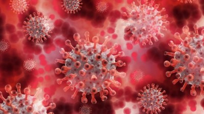 Coronavirus spreading fast in many districts including Haryana