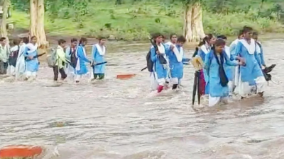 पानी में डूबता देश का भविष्य! जान जोखिम में डालकर स्कूल जा रहे बच्चे, अधिकारी बोले- 'पुल के बजट नहीं है'