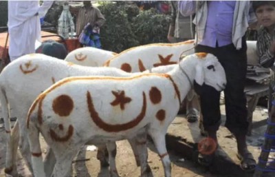 BJP MLA makes a controversial statement on Bakrid