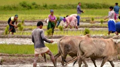 उत्तर प्रदेश में दर्दनाक हादसा, खेत में काम कर रही 5 महिलाओं की करंट लगने से मौत