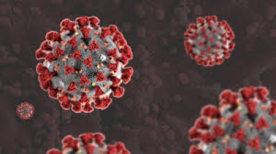हरियाणा : आइसोलेशन वार्ड में कोरोना संक्रमित की हुई मौत, चरखी दादरी जिले में भी फैला वायरस