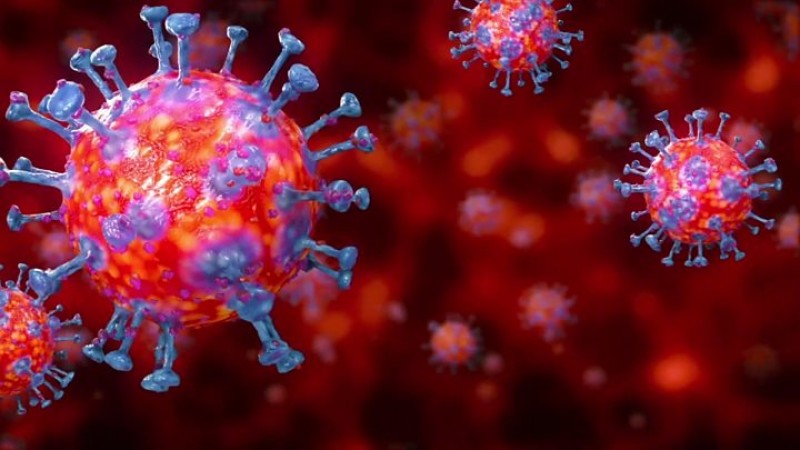 महज 24 घंटो में 357 संक्रमितों ने गवाई जान, वायरस को लेकर सारे दावे हुए फेल