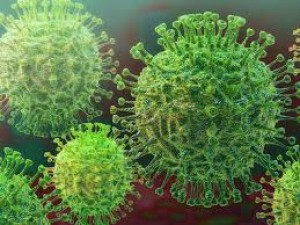 उज्जैन में कोरोना संक्रमितों का आकड़ा 151 पंहुचा, अब तक 27 लोगो की हुई मौत