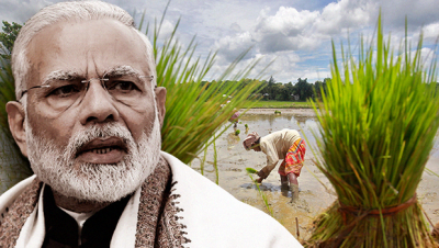 PM Narendra Modi takes stock of agri sector,discuss ways to boost agriculture