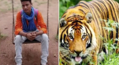 The young man came for a walk in the forest with his girlfriend, suddenly the tiger arrived, and then what happened...