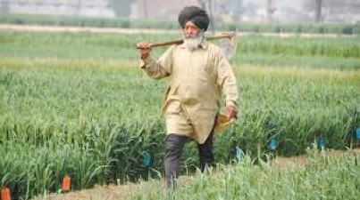Why Punjab's farmer are worried?