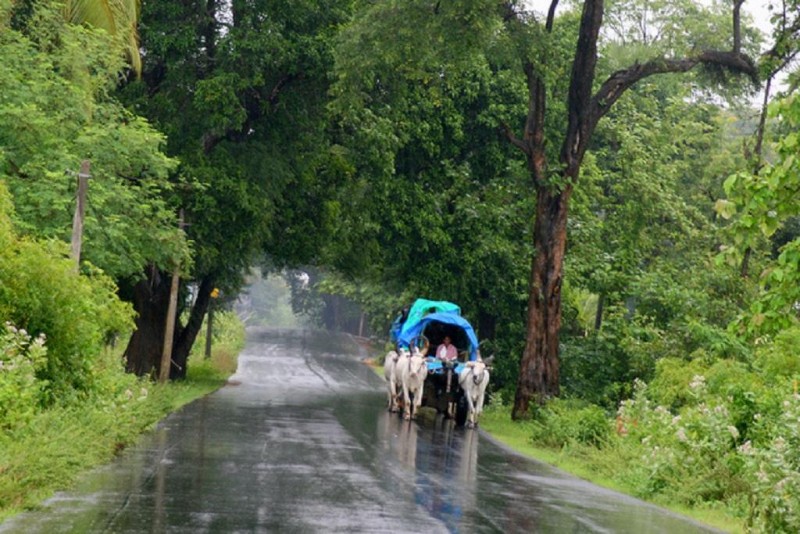 करवट बदलेगा मौसम, दिल्ली-यूपी और हरियाणा के इन इलाकों में होगी बारिश