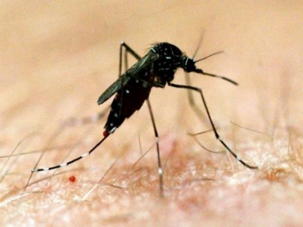 कोरोना महामारी के बीच जानलेवा डेंगू की दस्तक, तैयारियों में जुटा प्रशासन