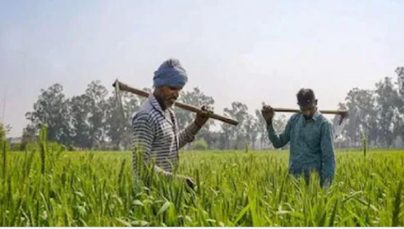 Government's big gift to farmers, crores of rupees have been credited to account