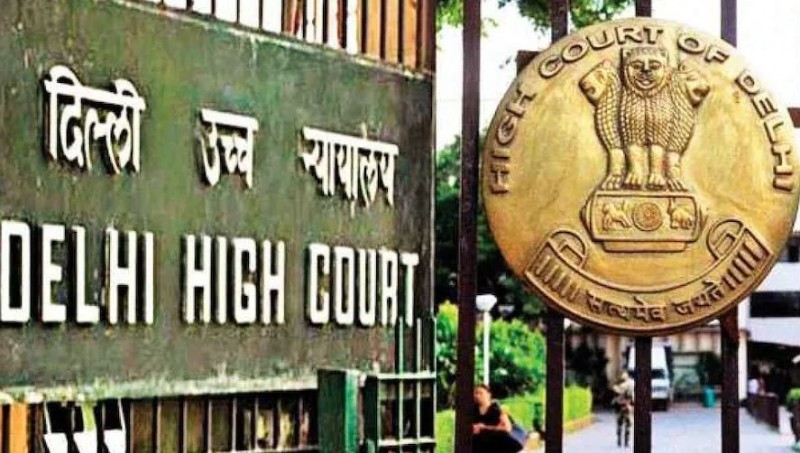 'Flying kites, cultural activity, can't be stopped..,' Delhi HC dismisses plea