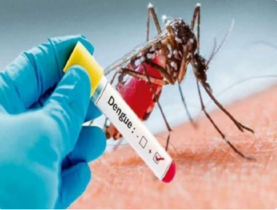 More than 16,000 cases of dengue reported in Punjab, people terrified by dengue menace