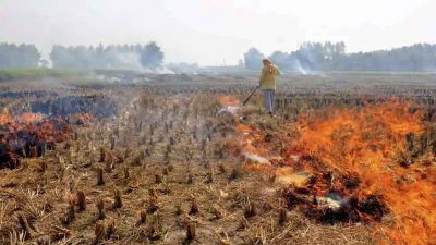पराली जलाने को लेकर दर्ज हुई FIR, सड़कों पर उतरे नाराज़ किसान