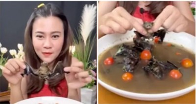 महिला ने पिया मसालेदार चमगादड़ का सूप, वीडियो वायरल हुआ तो मची खलबली