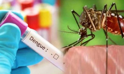 डेंगू के अधिकतर मरीजों में मिल रहे ये दो लक्षण, दिखने पर हो जाएं सतर्क