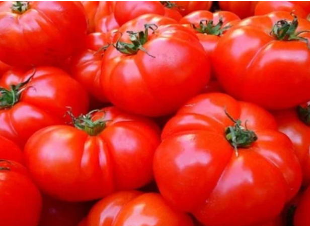 The sharp rise in tomato prices in Delhi