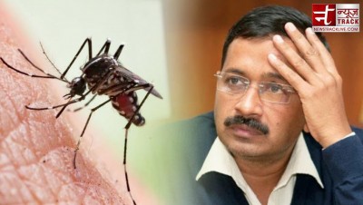 Dengue breaks last 5 years record in Delhi
