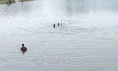 राजस्थान: मूर्ति विसर्जन के दौरान हुआ बड़ा हादसा, पार्वती नदी में डूबे 5 युवक