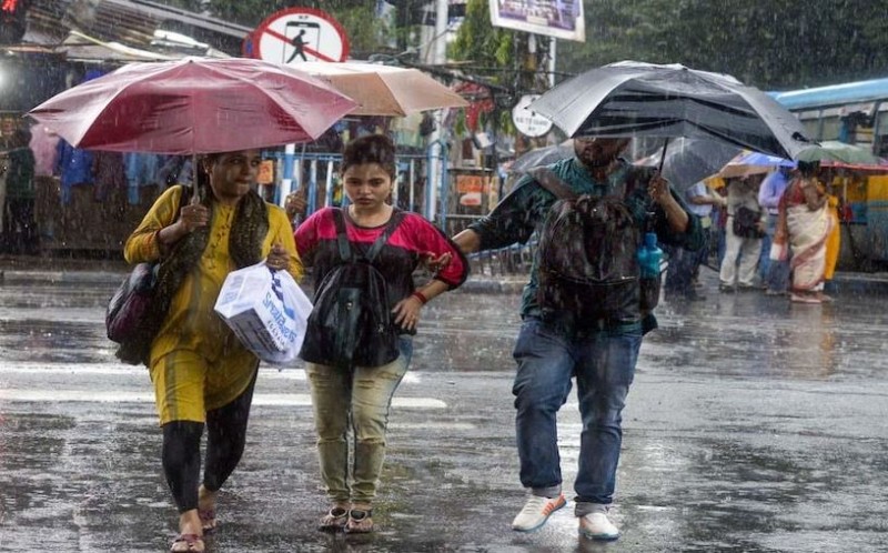 Heavy rains in these 12 districts, IMD warns