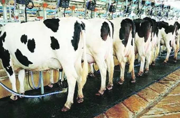National Commission for Women launches dairy farming training, aims to make women 'self-reliant'